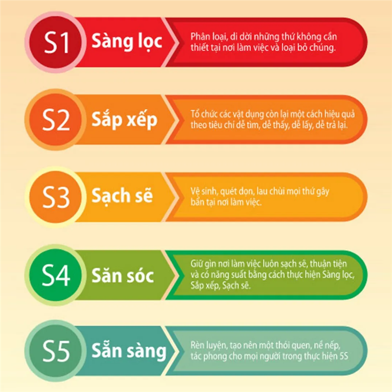 Quy trình 5S (Sàng lọc; Sắp xếp; Sạch sẽ; Săn sóc; Sẵng sàng)