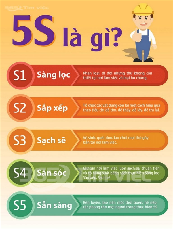 Quy trình 5S (Sàng lọc; Sắp xếp; Sạch sẽ; Săn sóc; Sẵng sàng) – 3D Vina